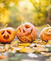 Halloween_Pernes-les-Fontaines