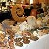 17e Salon de Minéraux et Fossiles