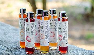 Papilles & Provence