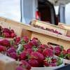 Marché des producteurs de Pernes-les-Fontaines