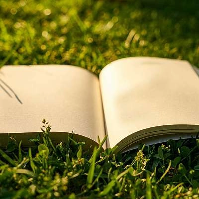 Agenda d'Althen-des-Paluds