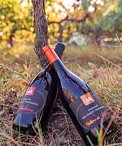 Domaine des Hauts Traversiers