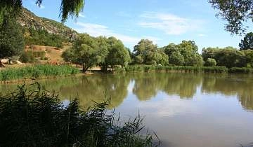 Lac de Monieux