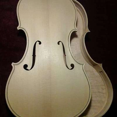 Marion Tissot Luthier