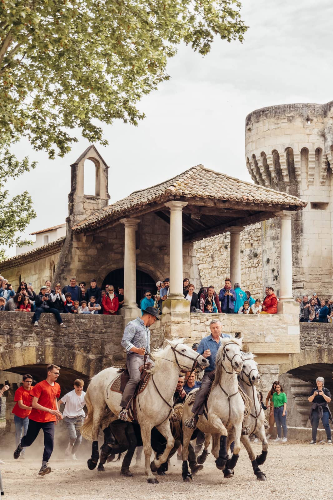 Spectacle de chevaux à Pernes pour la Saint-Marc