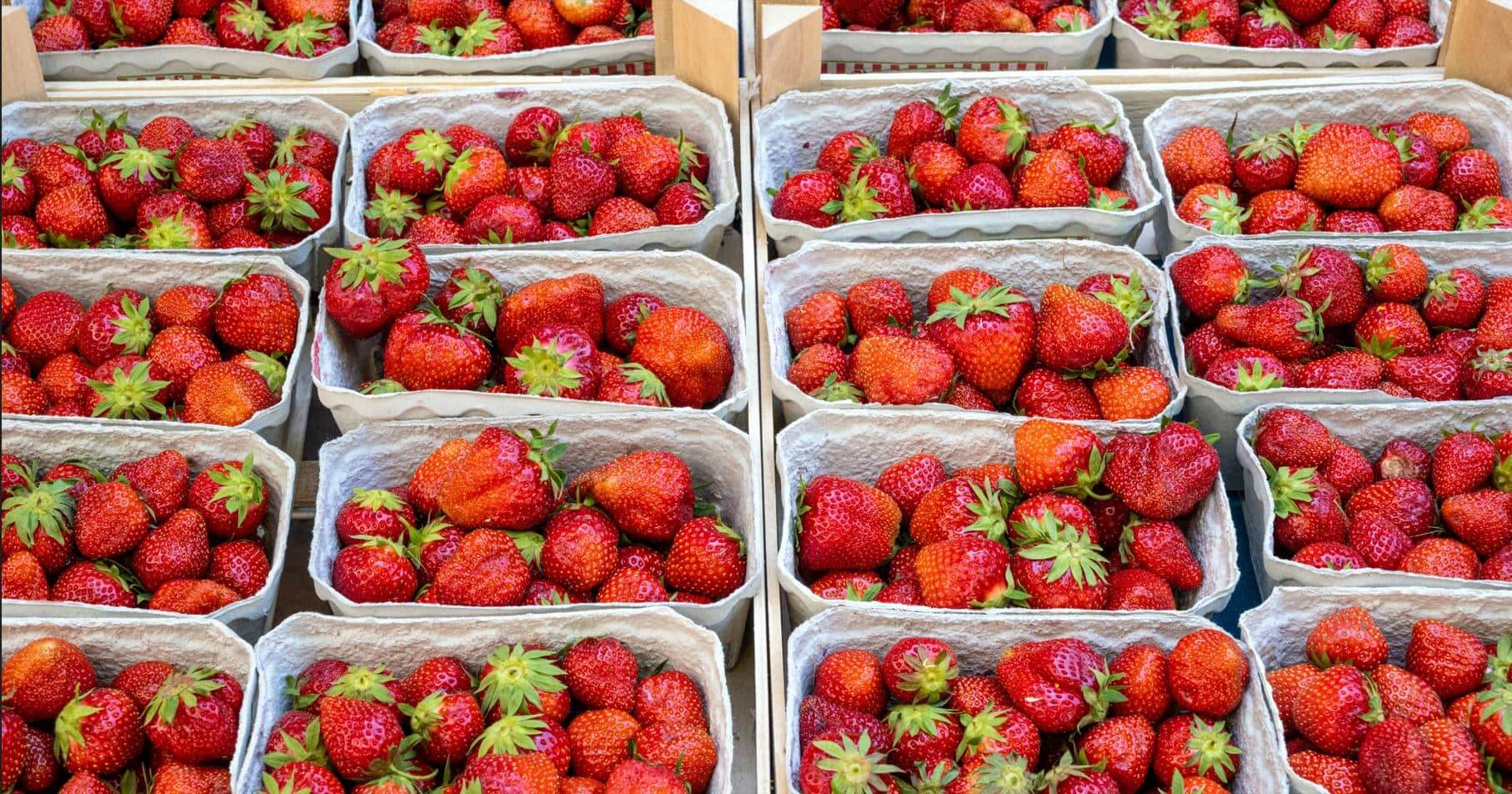 Des barquettes de fraises