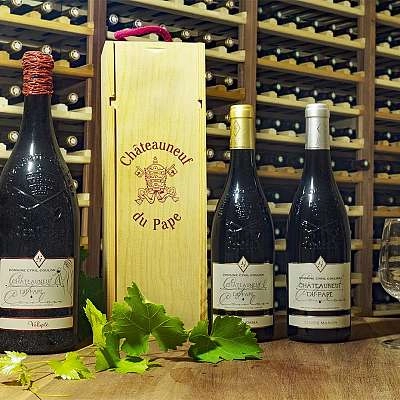 Domaine Cyril Coulon