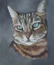 Ajacques_Pernes-les-Fontaines