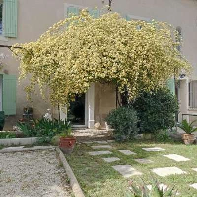 Gîte - Maison Rosiris