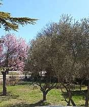 Les fermiers en herbe