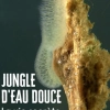 Diffusion Musée Micro-Folie -  Jungle d'eau douce - La vie secrète des gravières 