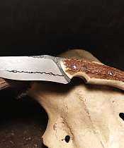 Tyriel_Pernes-les-Fontaines