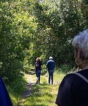Parcours - Les berges des Sorgues à Bédarrides_Bédarrides