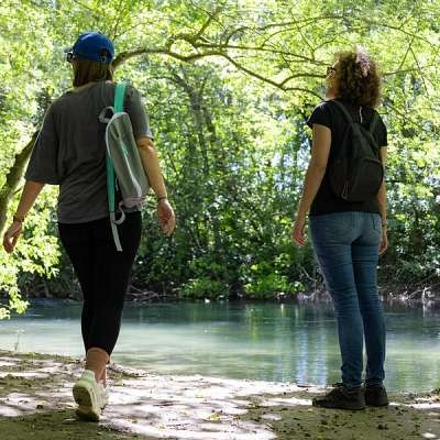 Balade sur les berges des Sorgues, à Bédarrides