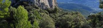 Randonnée accompagnée dans les Dentelles de Montmirail