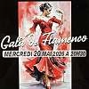 Gala de flamenco