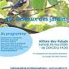 Initiation au comptage des oiseaux des jardins