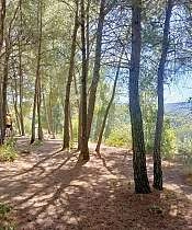 Balade contée_Pernes-les-Fontaines