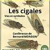 Conférence « Les cigales, vies et symboles »