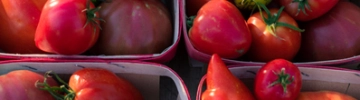 Marché Nocturne des producteurs_Pernes-les-Fontaines