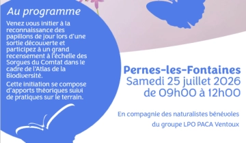 2026_Visuel Devine qui papillonne_Pernes-les-Fontaines.png