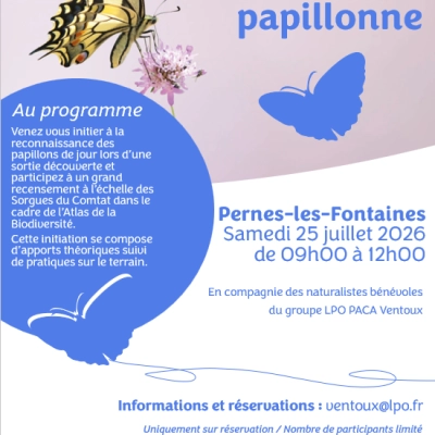 Devine qui papillonne