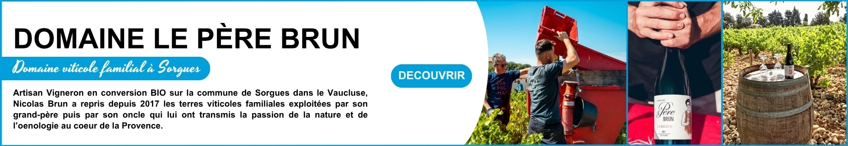 Encart pub ordinateur - Domaine le pere brun