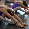 Spectacles de danse