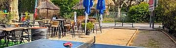Ping Pong